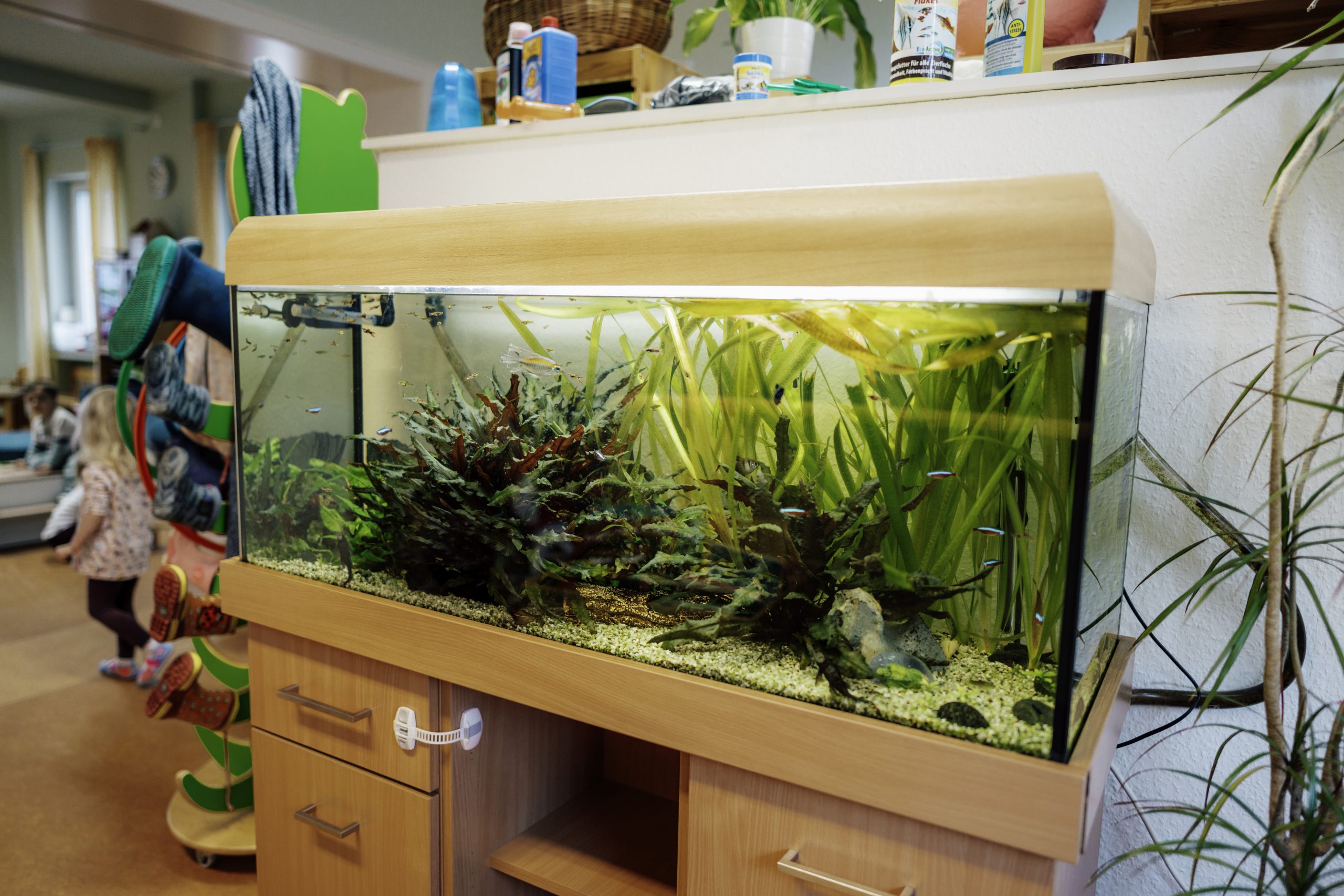 20240411_killekak (47 von 315)